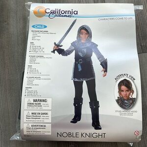 Noble Knight Costume